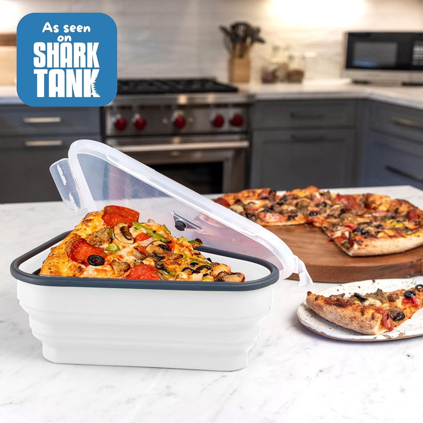 Reusable Pizza Storage Container