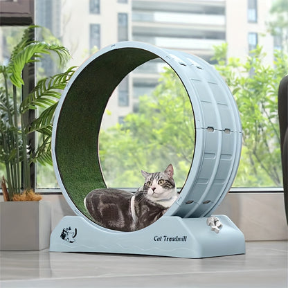 Cat Roller Treadmill